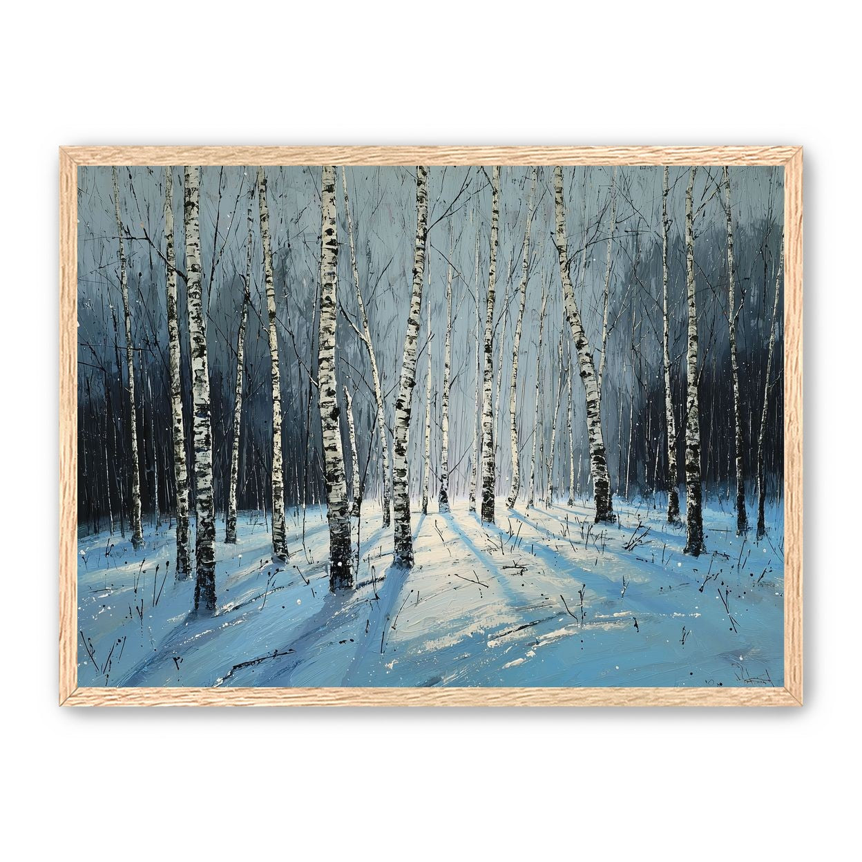 Birch Trees in Winter Light