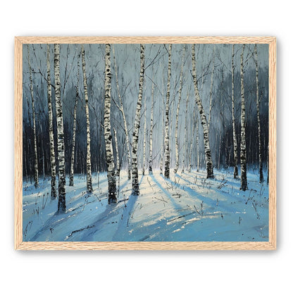 Birch Trees in Winter Light