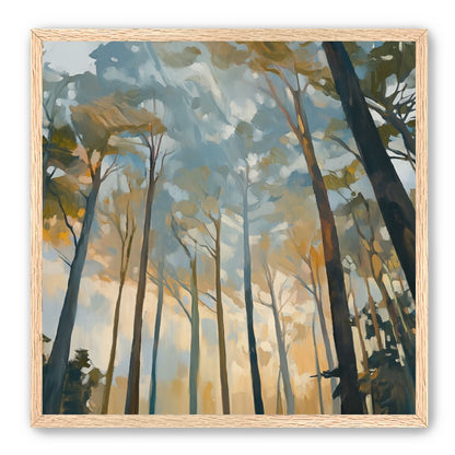 Awakening Woods