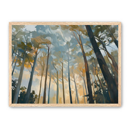 Awakening Woods