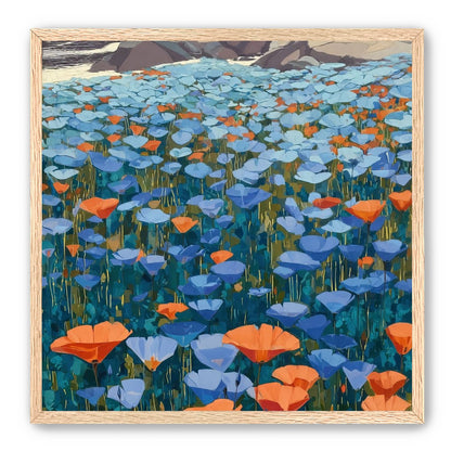 California Poppies