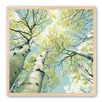 Branches Holding Light