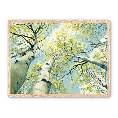 Branches Holding Light
