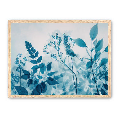 Moment Fixed in Transparency