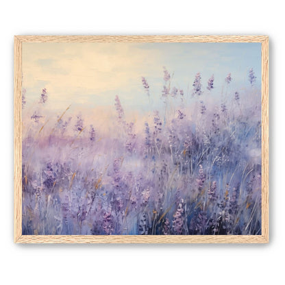 Lavender Fields