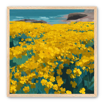 Yellow Coastal Wildflowers