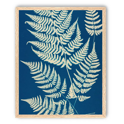 Ferns crossing blue field