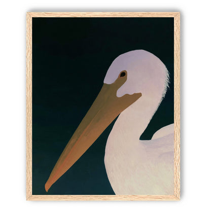 White pelican in stillness