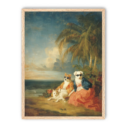 Sunglasses dogs under palms