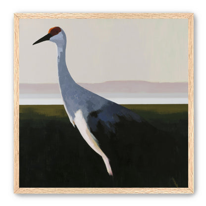 Crane with a red crown