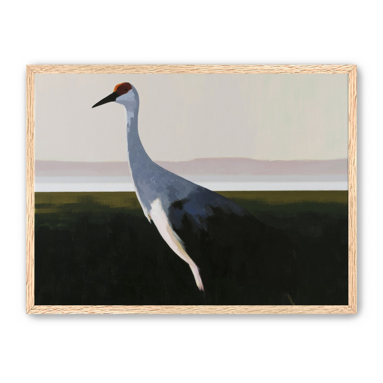Crane with a red crown