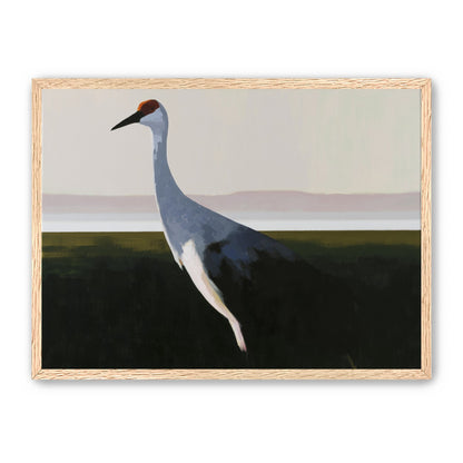 Crane with a red crown