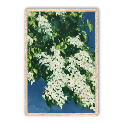 White blossoms on blue field