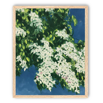 White blossoms on blue field