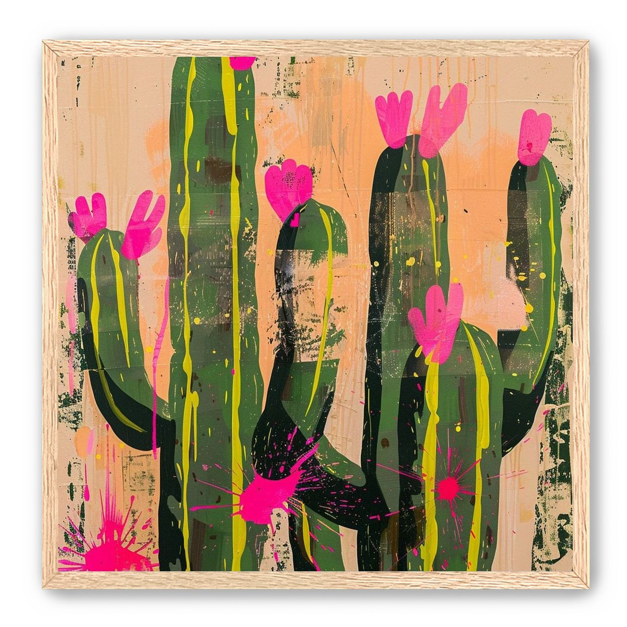 Pink blooms on cacti