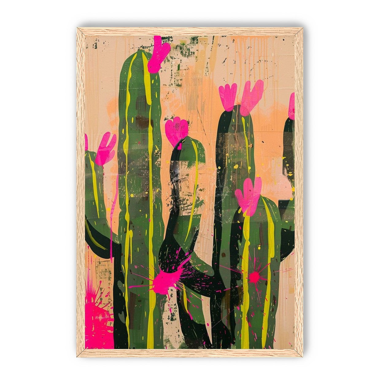 Pink blooms on cacti