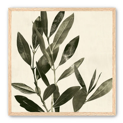 Dark leaves on pale field