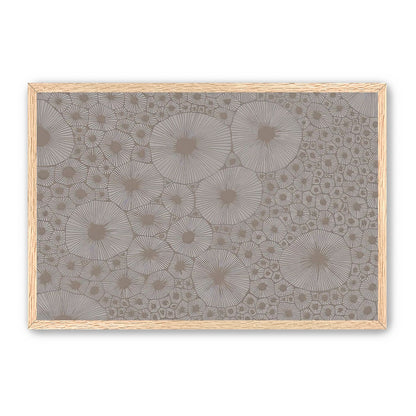 Bold Coral