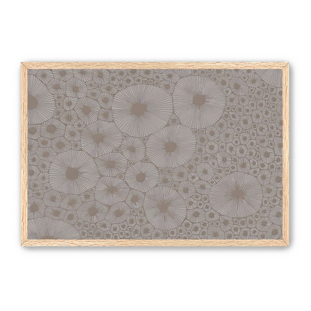Bold Coral