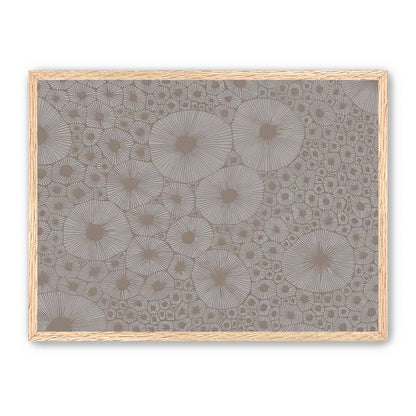 Bold Coral
