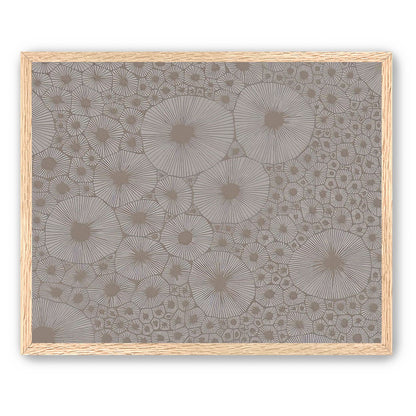 Bold Coral