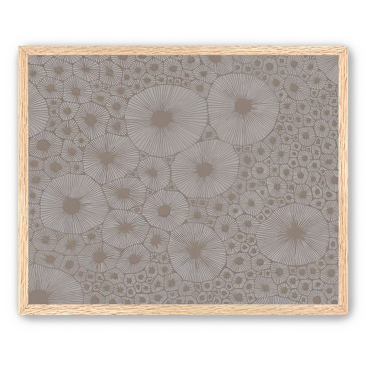 Bold Coral