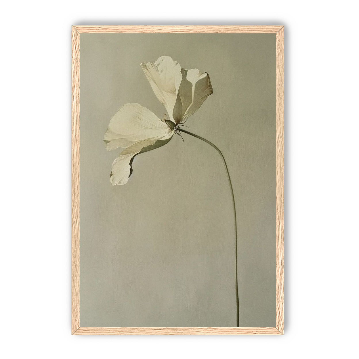 Cream petals in gray green air