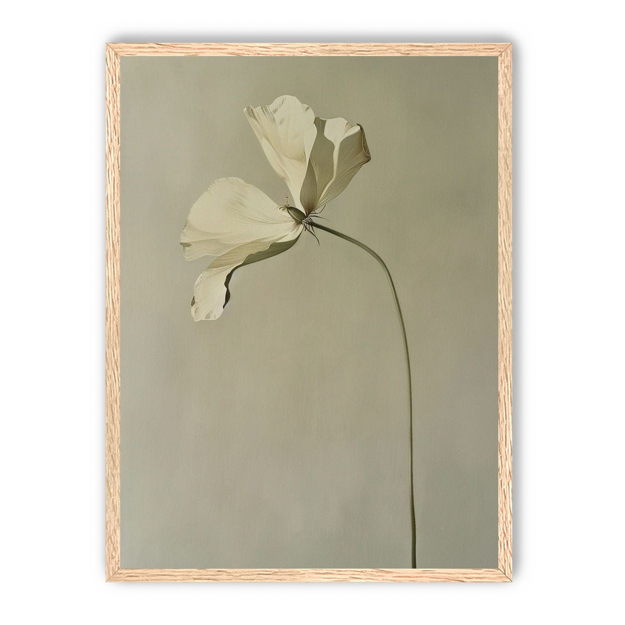 Cream petals in gray green air