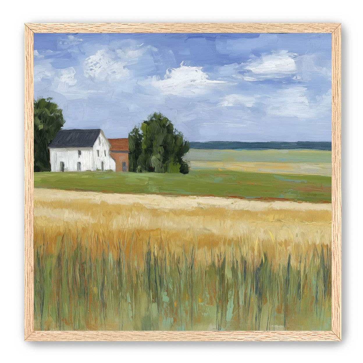 Grain Field Under Sun 