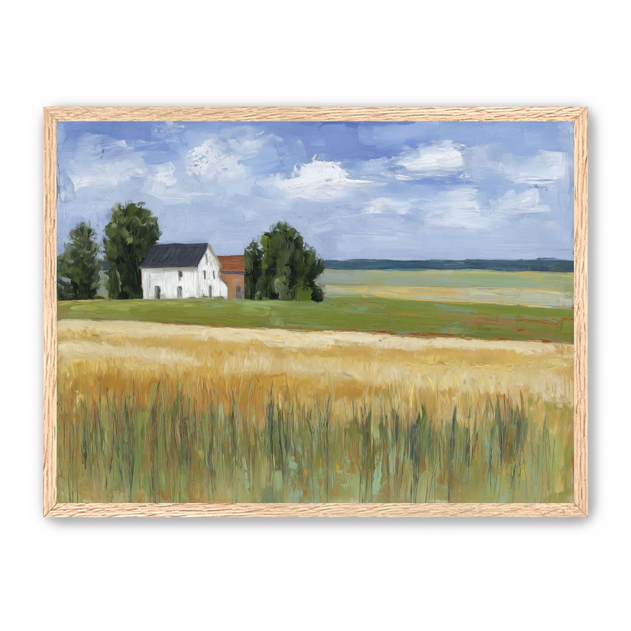 Grain Field Under Sun