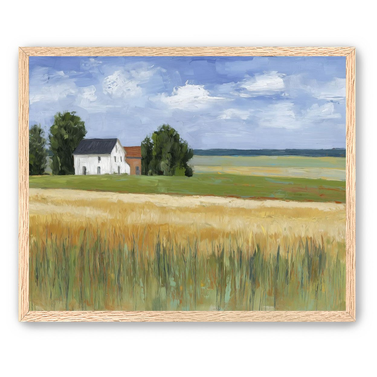 Grain Field Under Sun