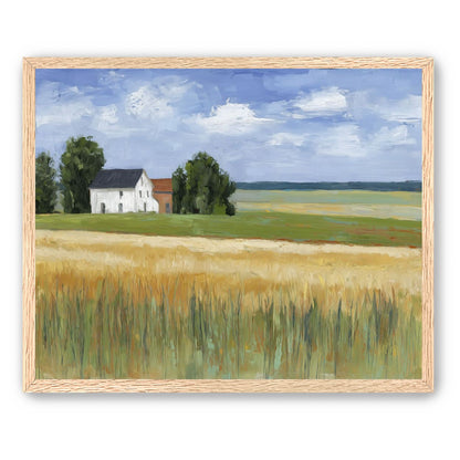 Grain Field Under Sun