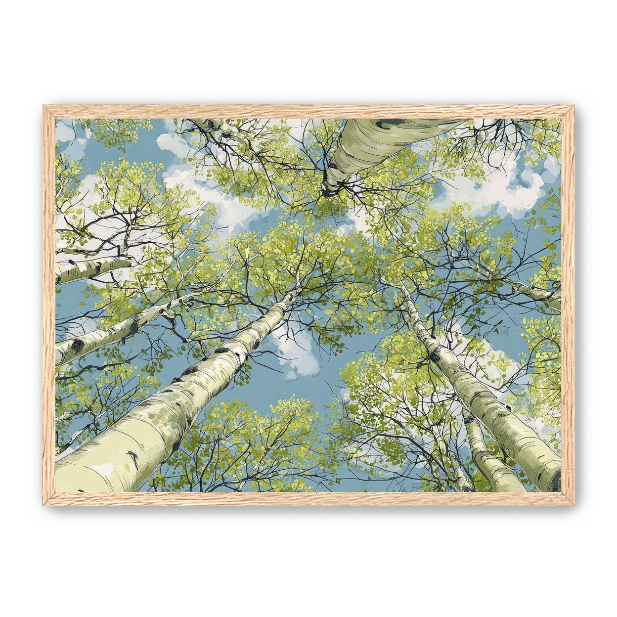 Aspen Canopy I