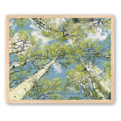 Aspen Canopy I