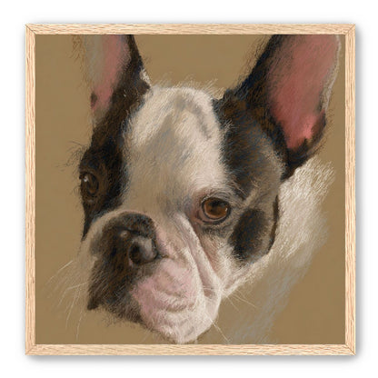 Close portrait with upright ears