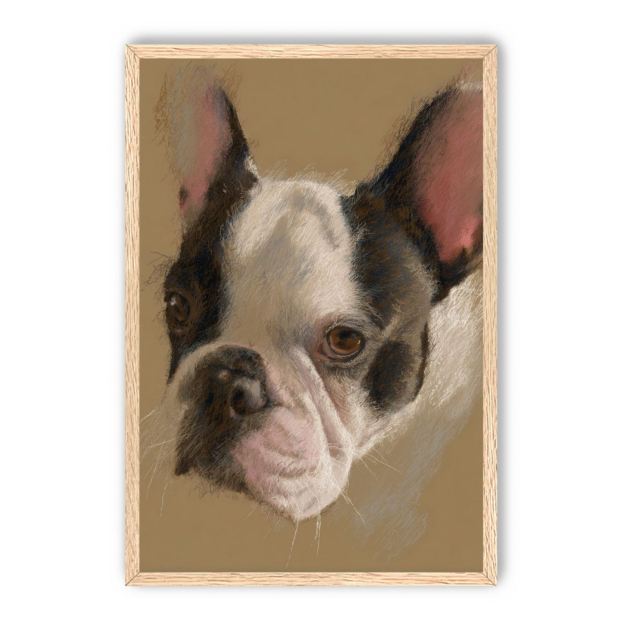 Close portrait with upright ears