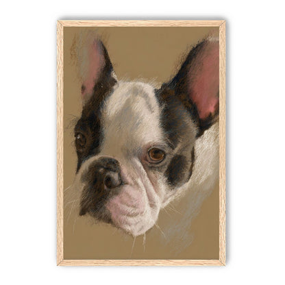 Close portrait with upright ears