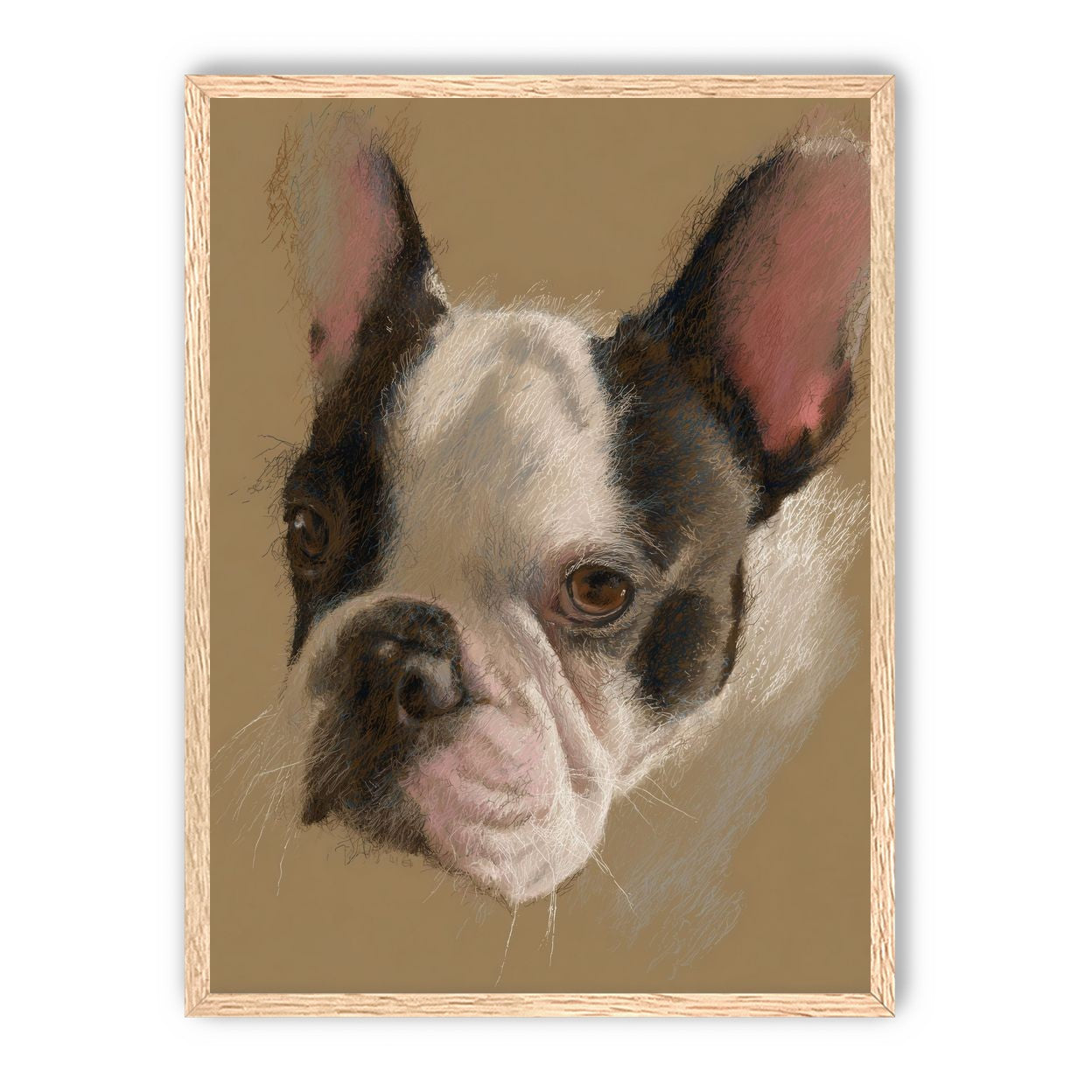 Close portrait with upright ears
