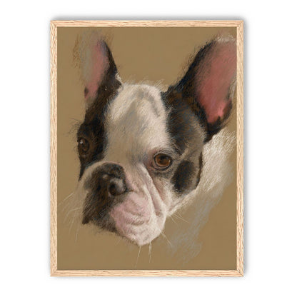 Close portrait with upright ears