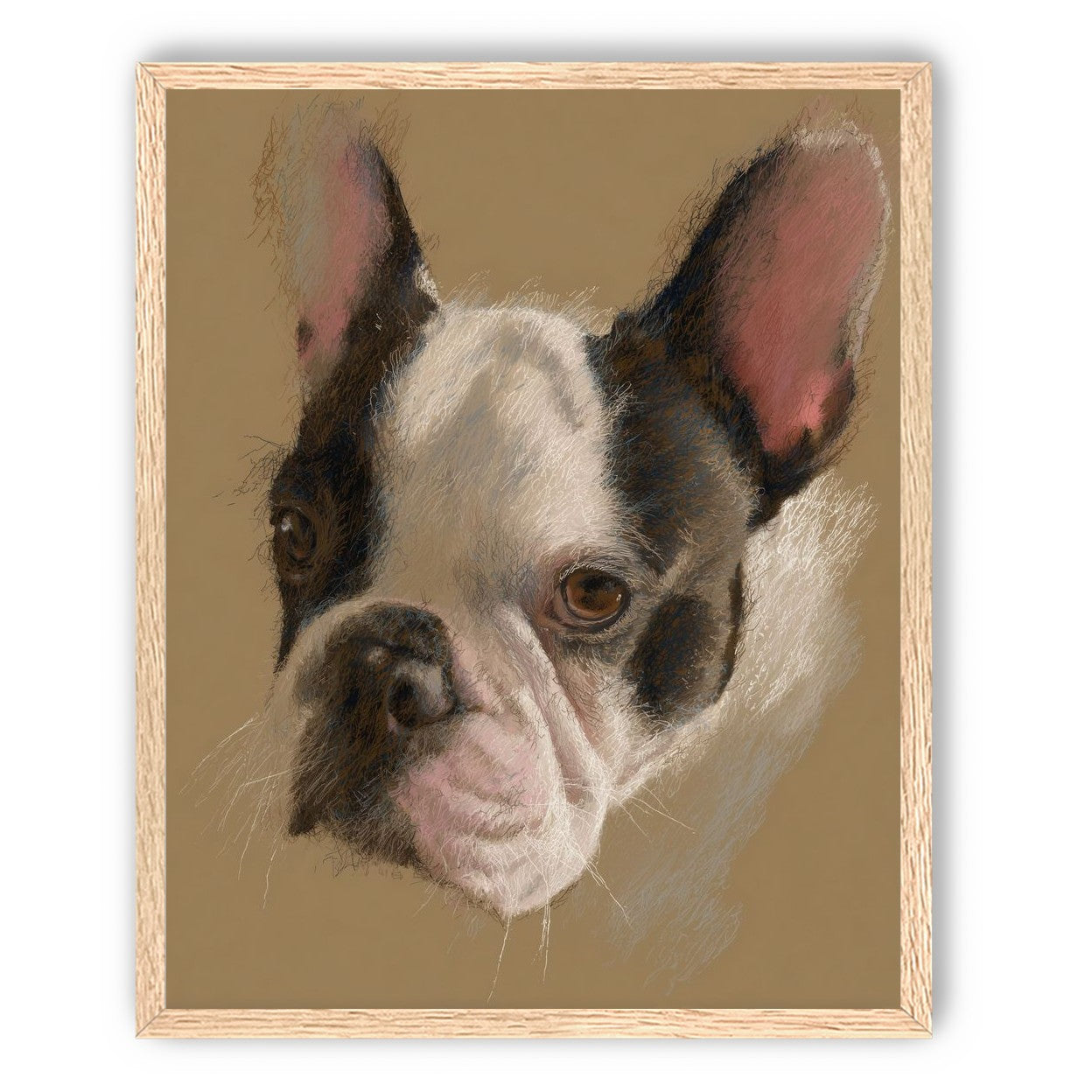 Close portrait with upright ears