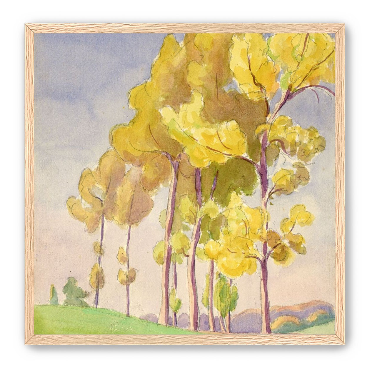 Yellow crowns on the hill