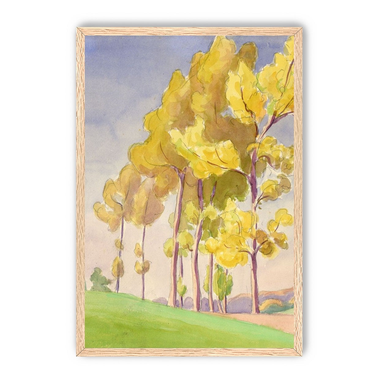 Yellow crowns on the hill