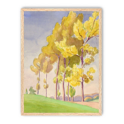 Yellow crowns on the hill