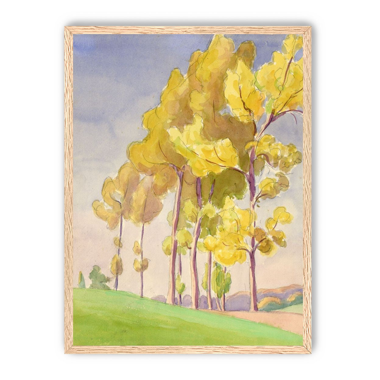 Yellow crowns on the hill