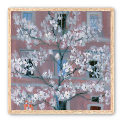 White blossoms against the pink house