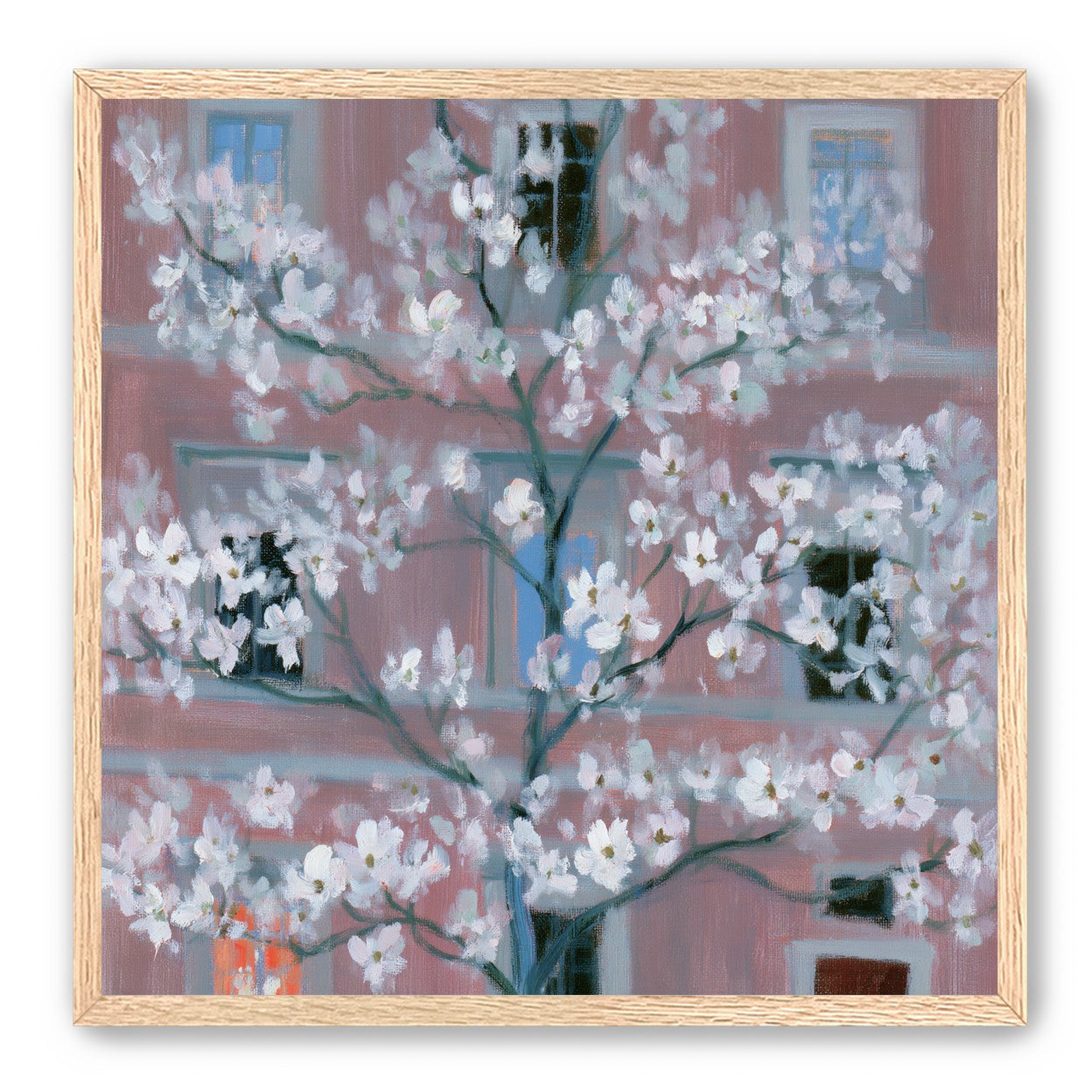 White blossoms against the pink house