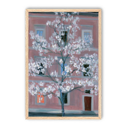 White blossoms against the pink house