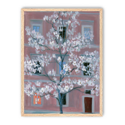 White blossoms against the pink house