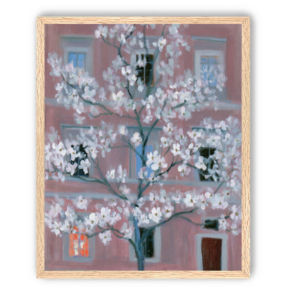 White blossoms against the pink house