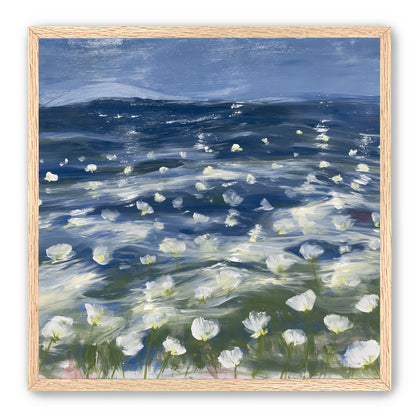 White flowers under blue sky